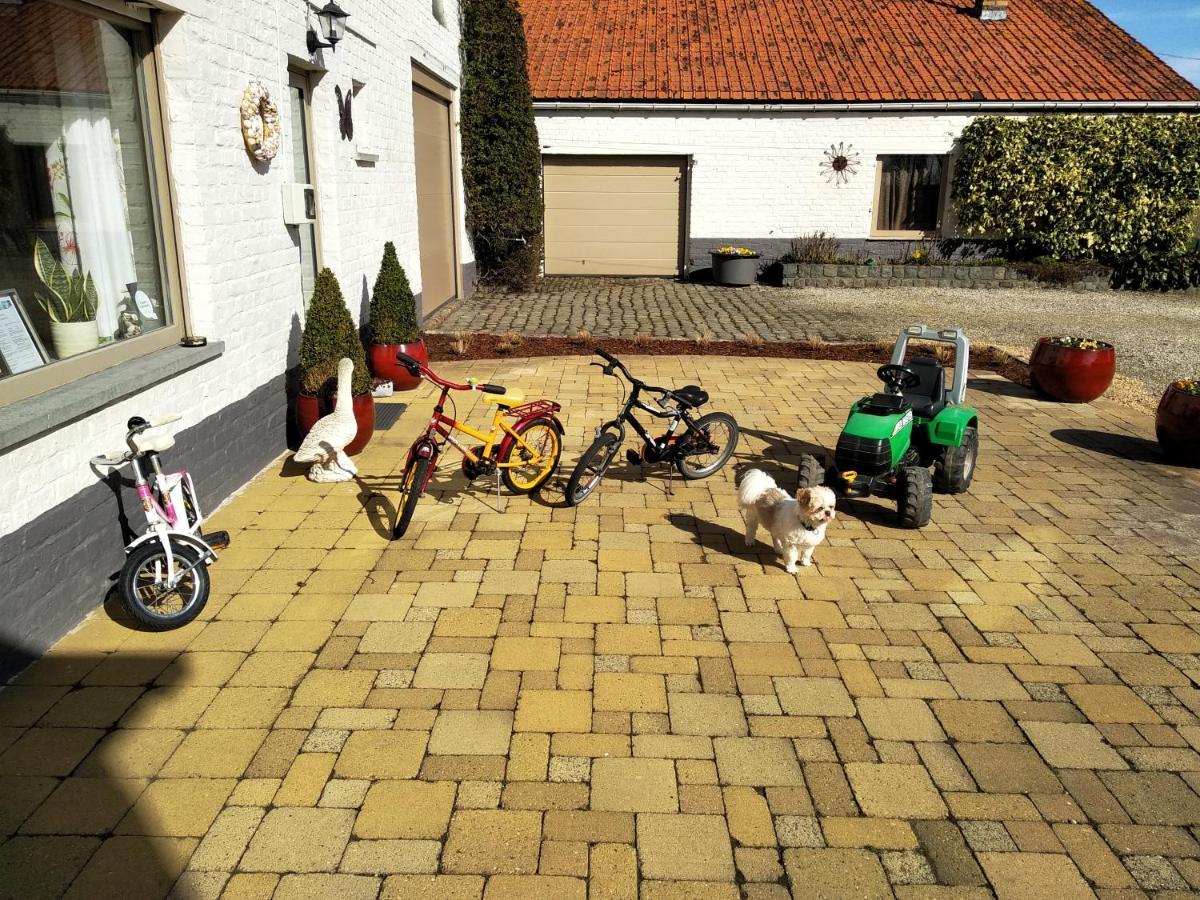 B&B Het Polderhof Jabbeke  Dış mekan fotoğraf